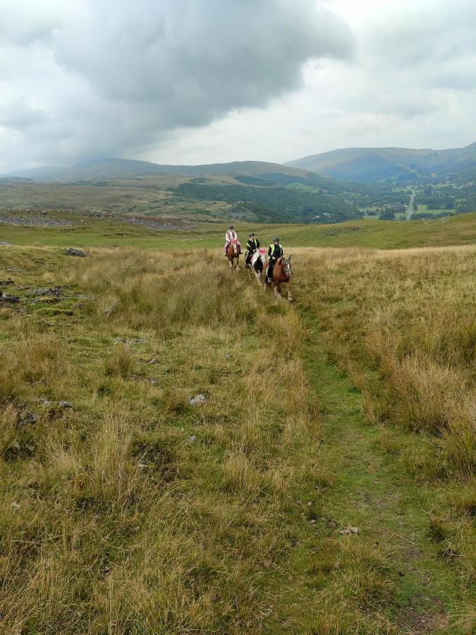 Pentre Riding Stables Hotell Abercraf Exteriör bild