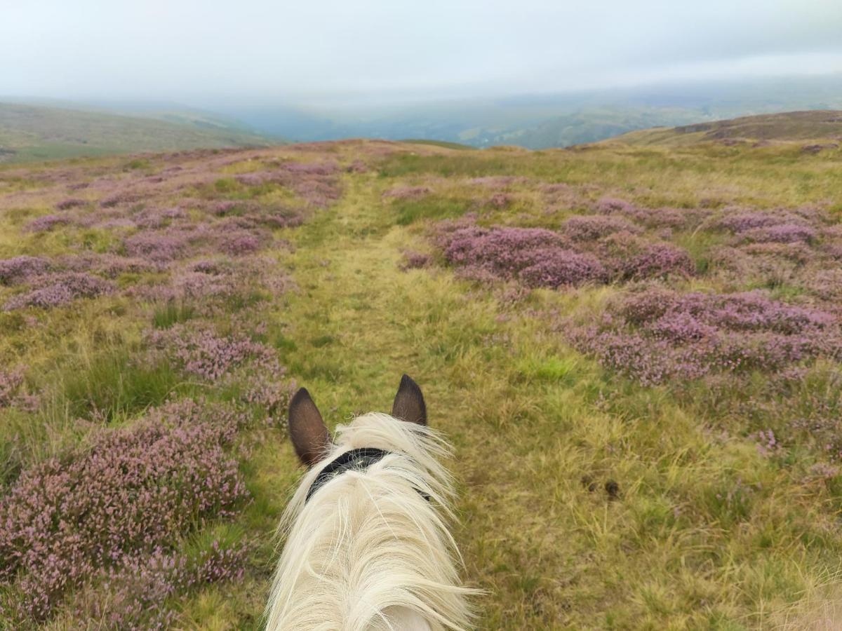 Pentre Riding Stables Hotell Abercraf Exteriör bild