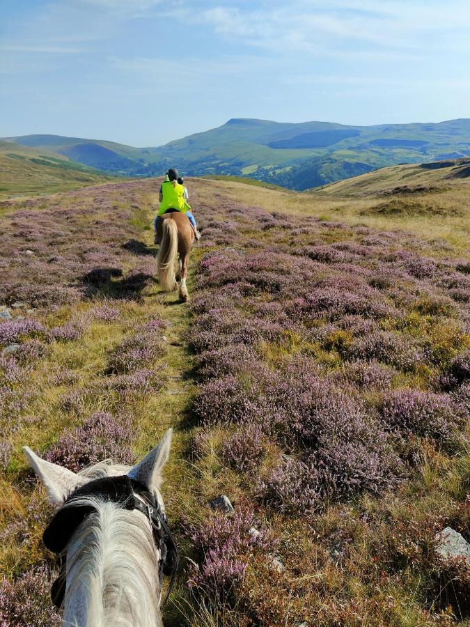 Pentre Riding Stables Hotell Abercraf Exteriör bild