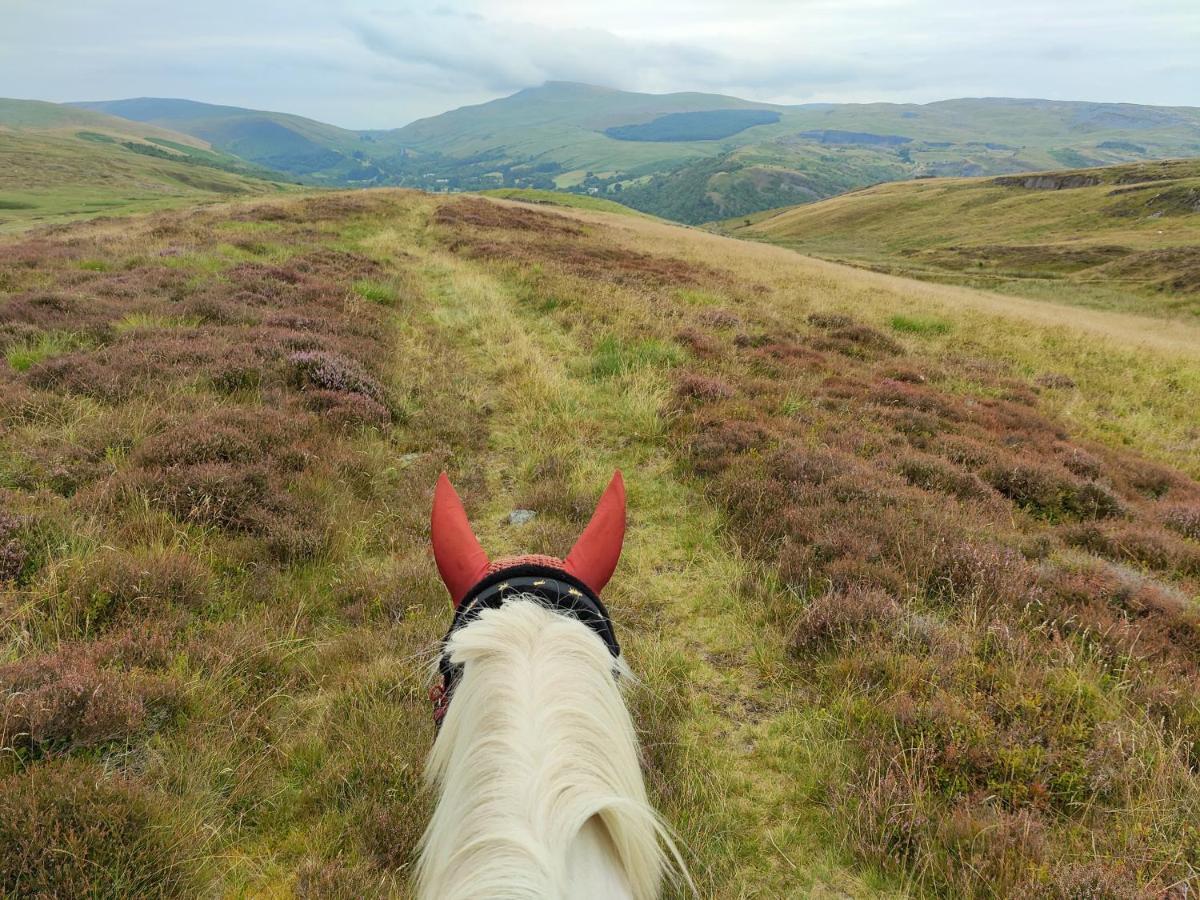Pentre Riding Stables Hotell Abercraf Exteriör bild
